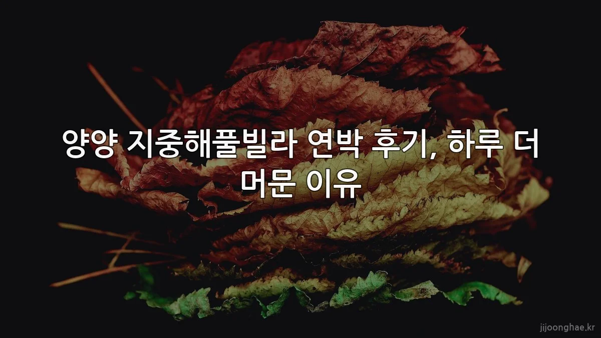 양양 지중해풀빌라 연박 후기, 하루 더 머문 이유