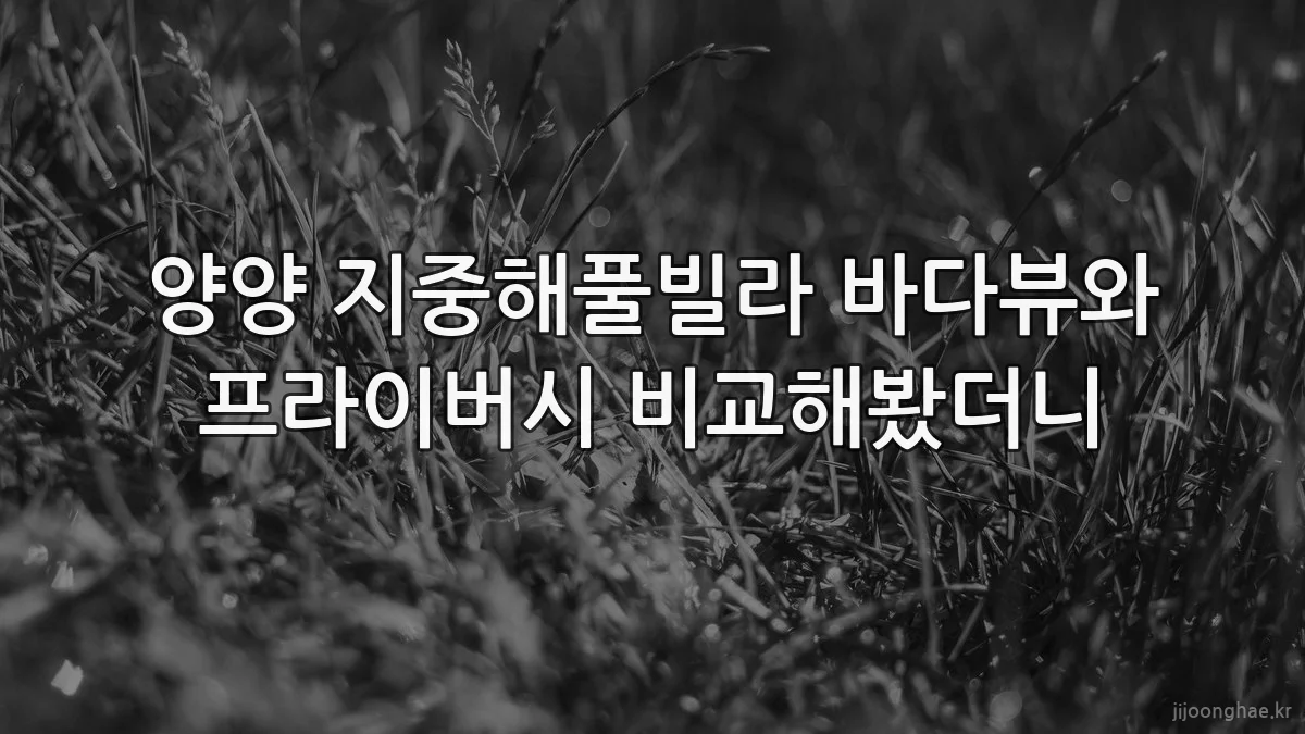양양 지중해풀빌라 바다뷰와 프라이버시 비교해봤더니