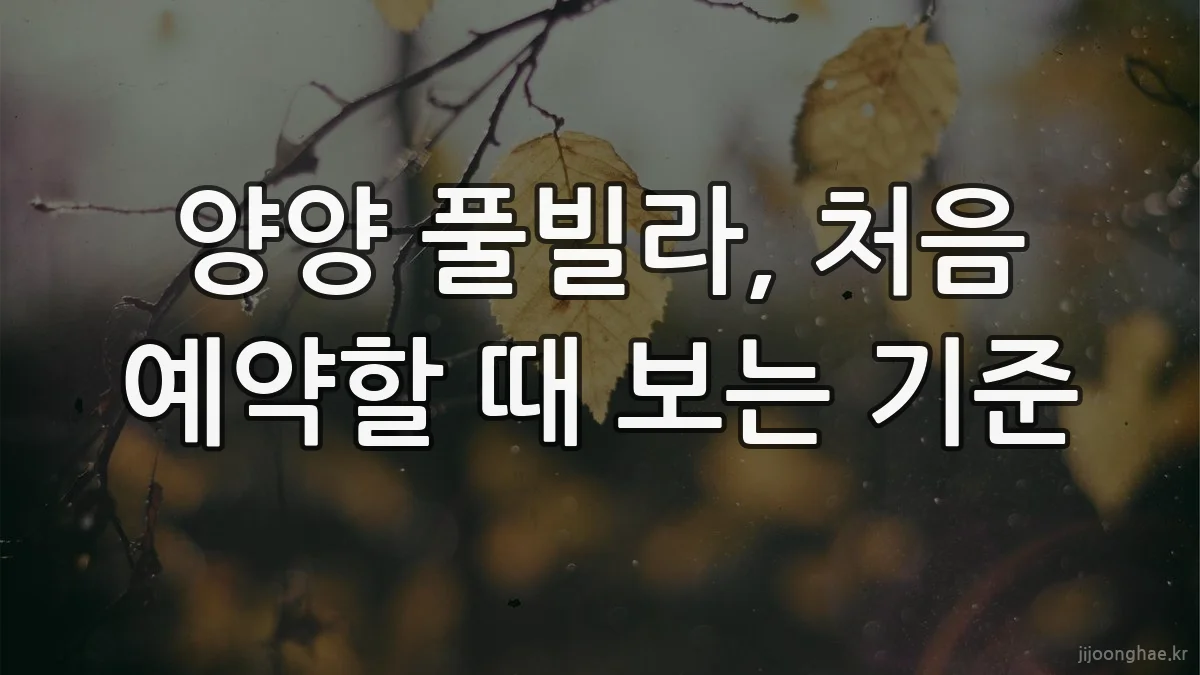 양양 풀빌라, 처음 예약할 때 보는 기준