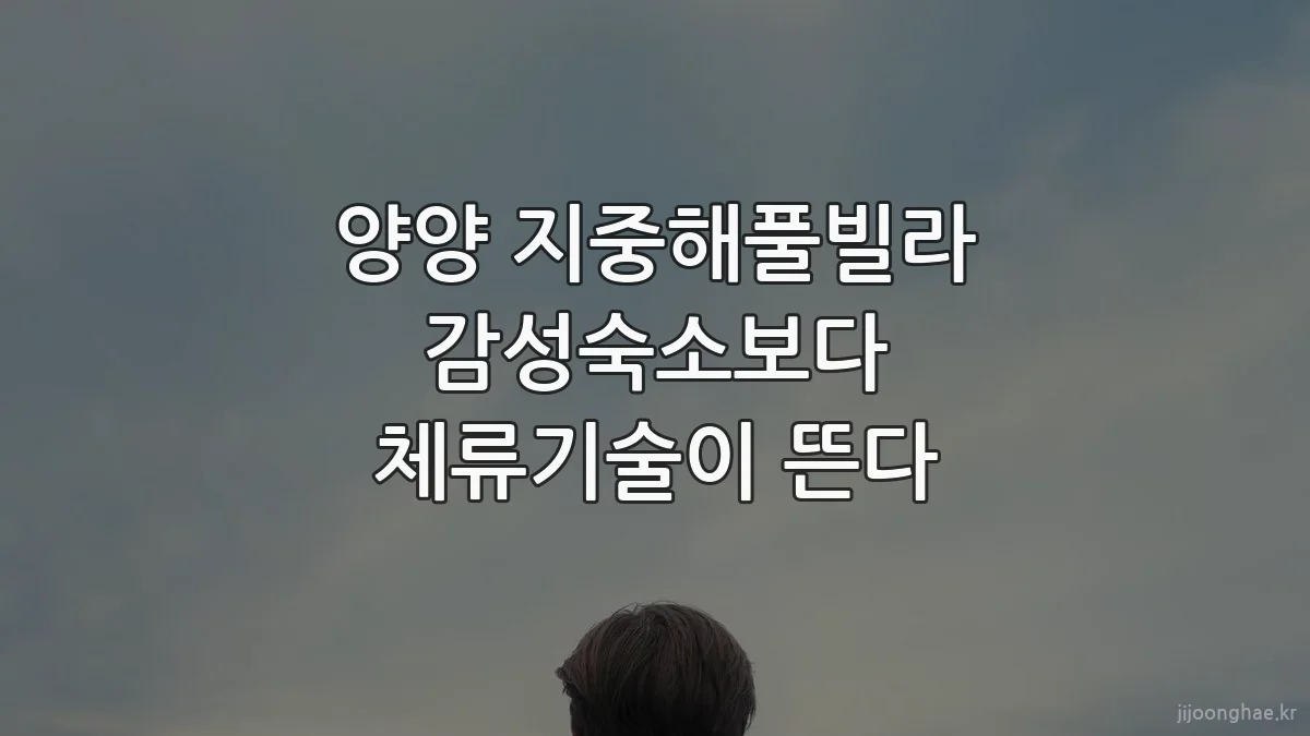 양양 지중해풀빌라 감성숙소보다 체류기술이 뜬다