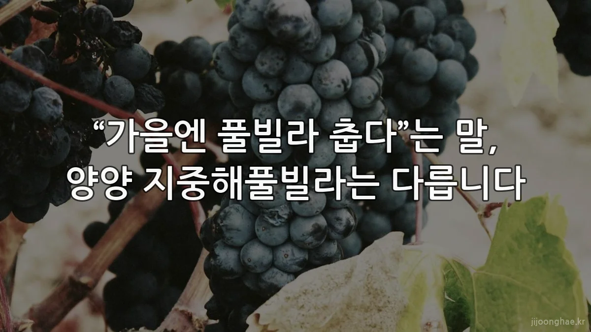 “가을엔 풀빌라 춥다”는 말, 양양 지중해풀빌라는 다릅니다