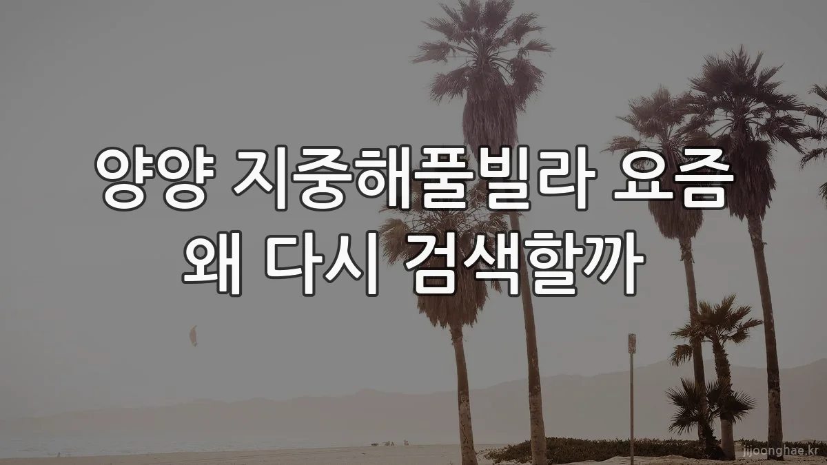 양양 지중해풀빌라 요즘 왜 다시 검색할까
