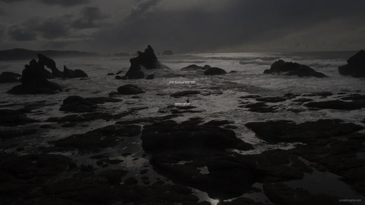 Jim Samuels와의 인터뷰: 포트폴리오 성공 비결