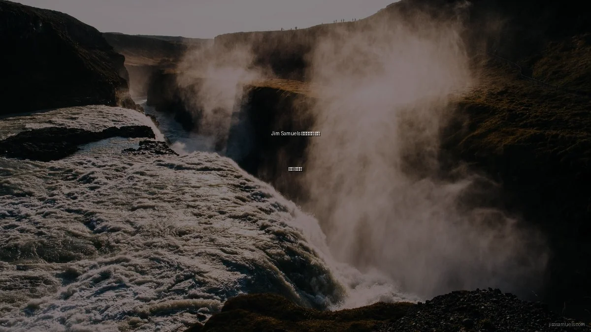 Jim Samuels 포트폴리오 설계 시작 가이드