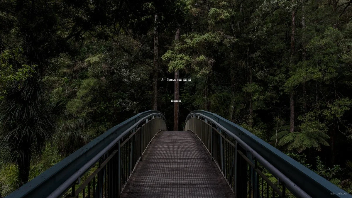 Jim Samuels 개인 사이트 숨은 활용법 총정리