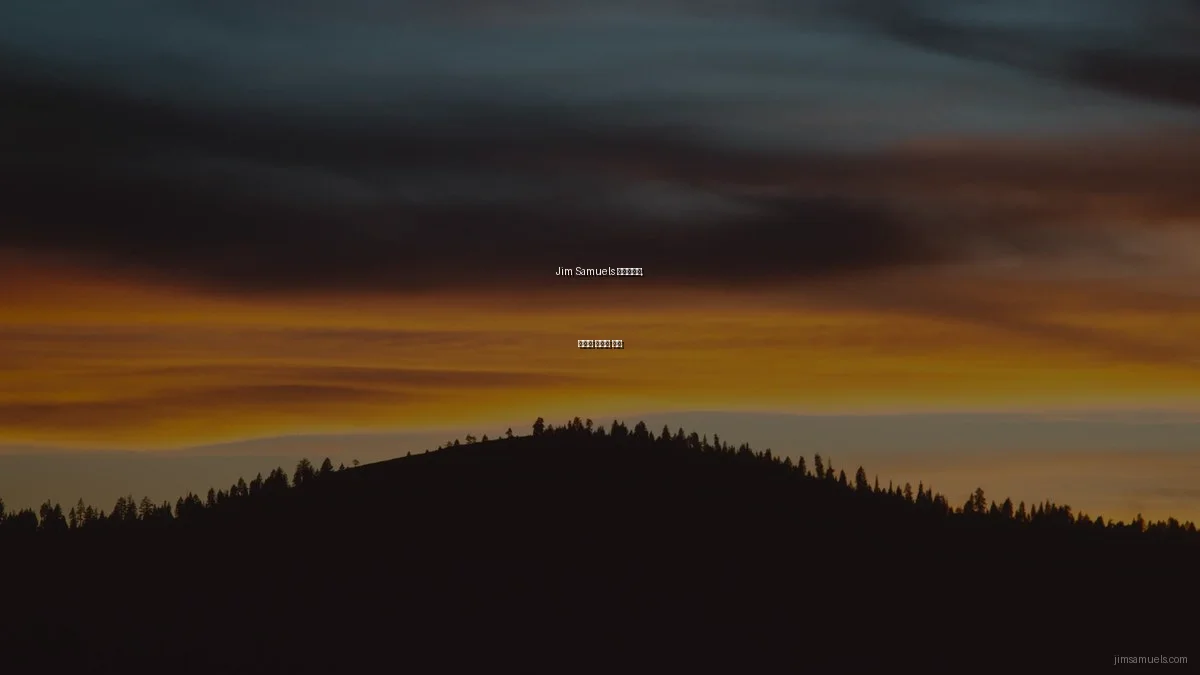 Jim Samuels 포트폴리오, 예산별 최적화 전략