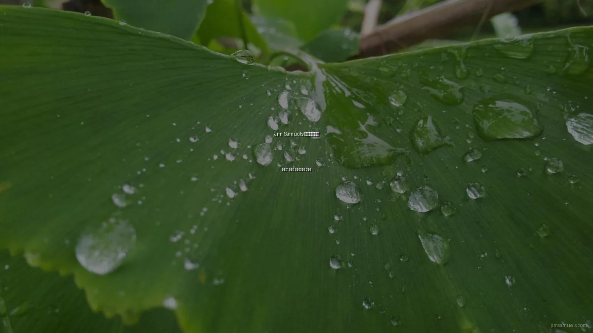 Jim Samuels 포트폴리오의 미래: 최신 트렌드와 전망