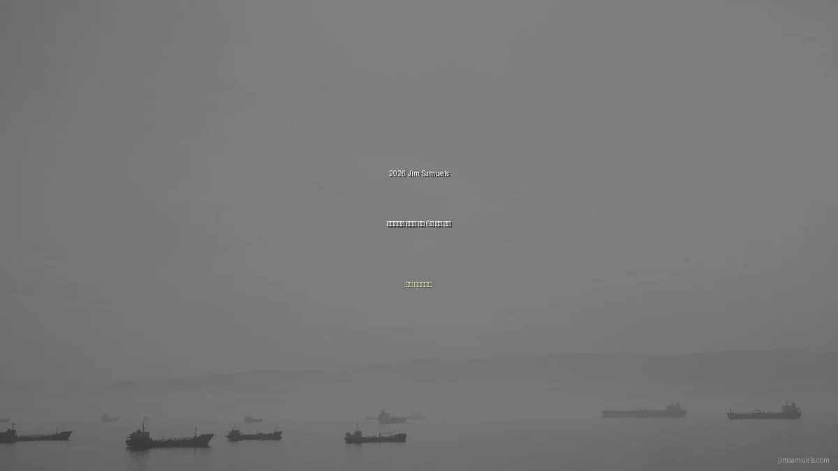 2026 Jim Samuels 포트폴리오 방문자 분석 6주 사용 후기