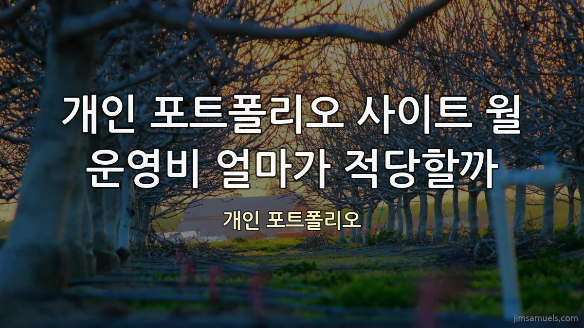 개인 포트폴리오 사이트 월 운영비 얼마가 적당할까