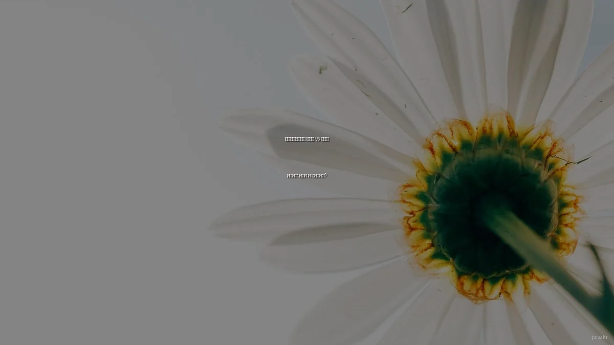 관할해역해양정보 시스템 vs 전통적 해양지도: 무엇이 더 효율적인가?