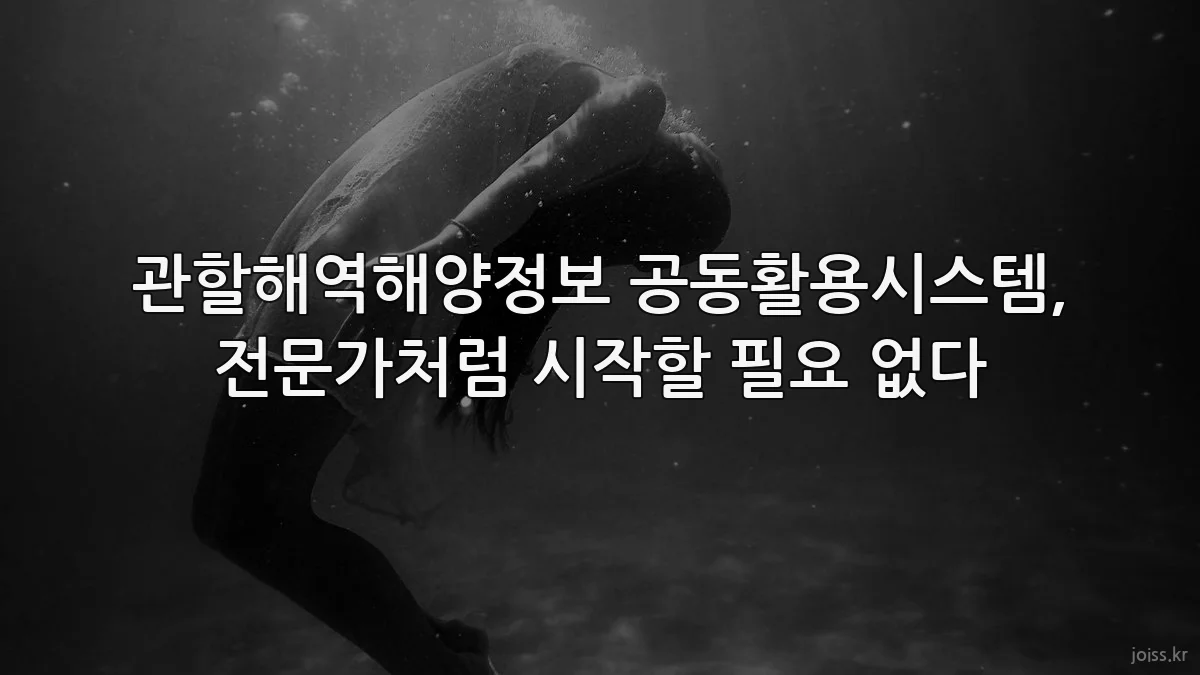 관할해역해양정보 공동활용시스템, 전문가처럼 시작할 필요 없다