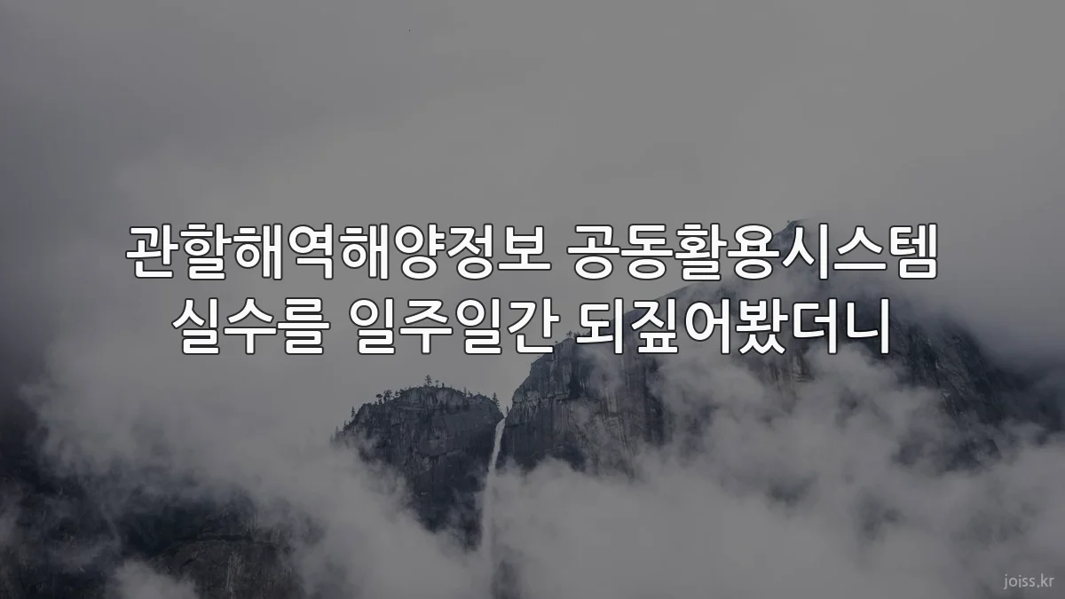관할해역해양정보 공동활용시스템 실수를 일주일간 되짚어봤더니