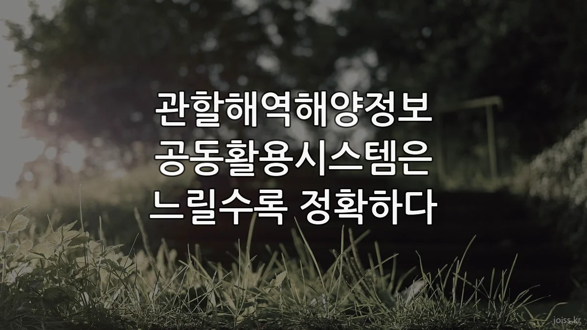 관할해역해양정보 공동활용시스템은 느릴수록 정확하다