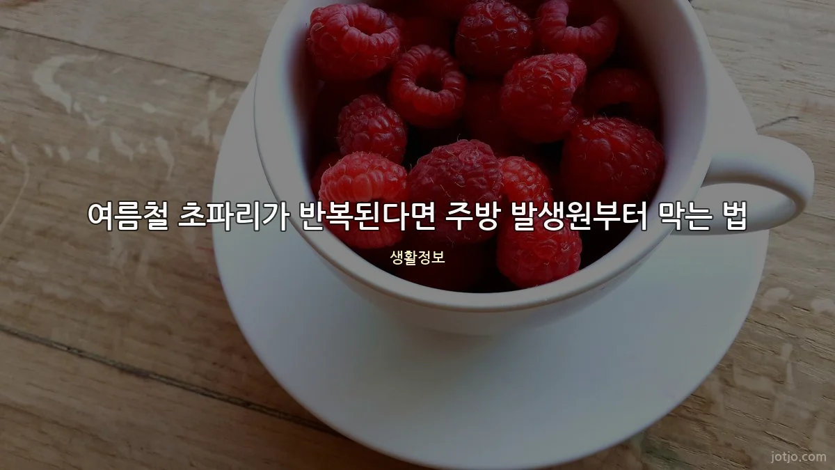 여름철 초파리가 반복된다면 주방 발생원부터 막는 법
