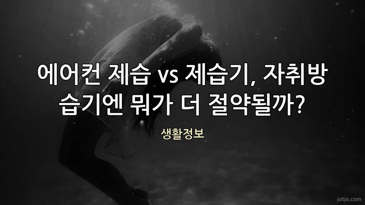 에어컨 제습 vs 제습기, 자취방 습기엔 뭐가 더 절약될까?
