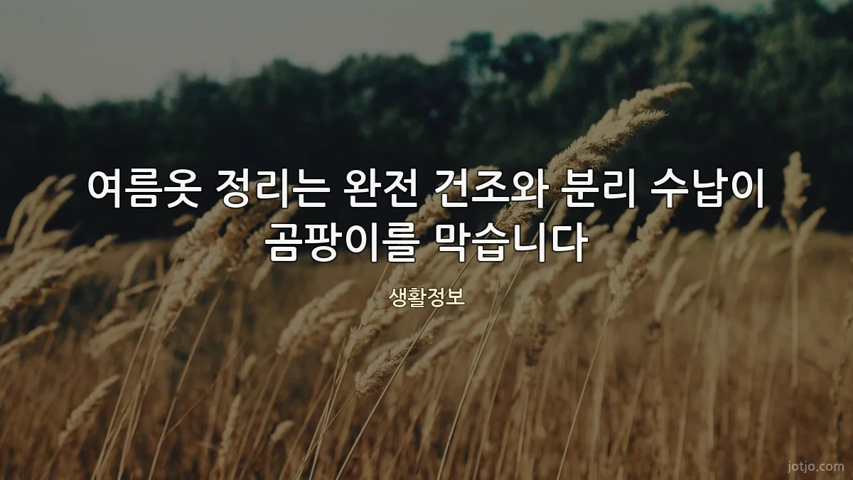 여름옷 정리는 완전 건조와 분리 수납이 곰팡이를 막습니다