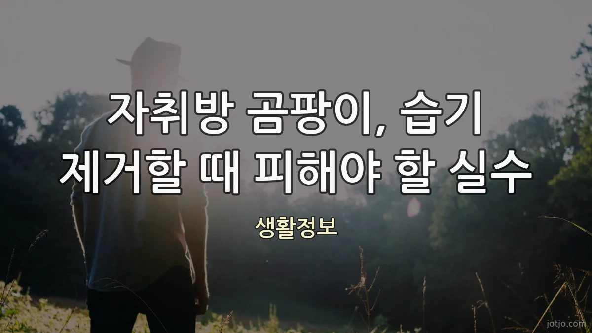 자취방 곰팡이, 습기 제거할 때 피해야 할 실수