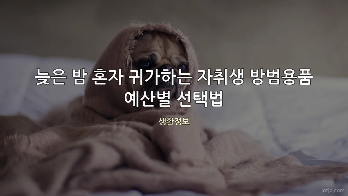 늦은 밤 혼자 귀가하는 자취생 방범용품 예산별 선택법