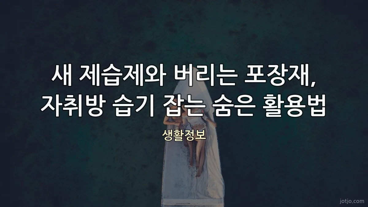 새 제습제와 버리는 포장재, 자취방 습기 잡는 숨은 활용법