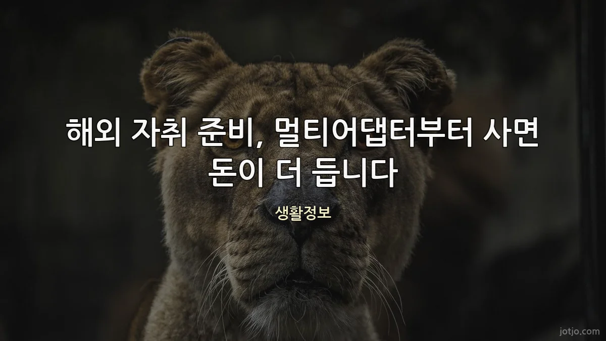 해외 자취 준비, 멀티어댑터부터 사면 돈이 더 듭니다