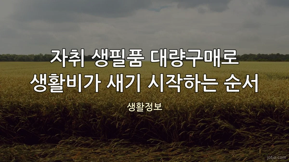 자취 생필품 대량구매로 생활비가 새기 시작하는 순서
