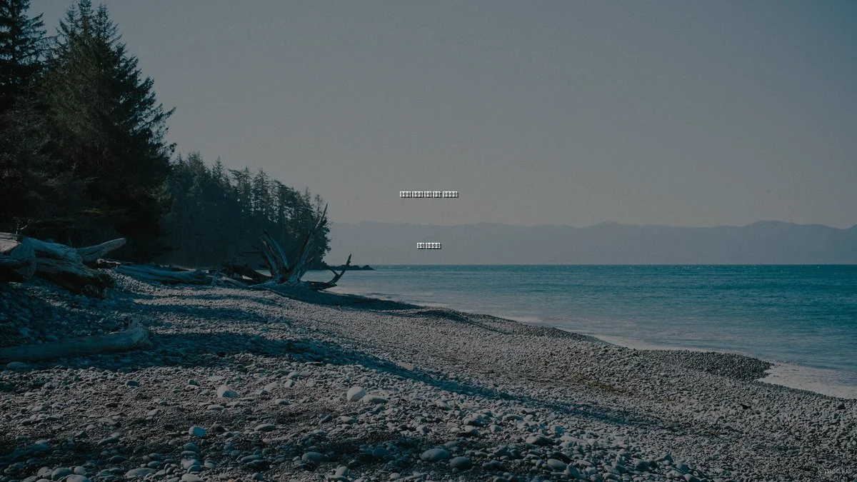 원자력 발전소 견학 후기: 안전성을 직접 확인하다