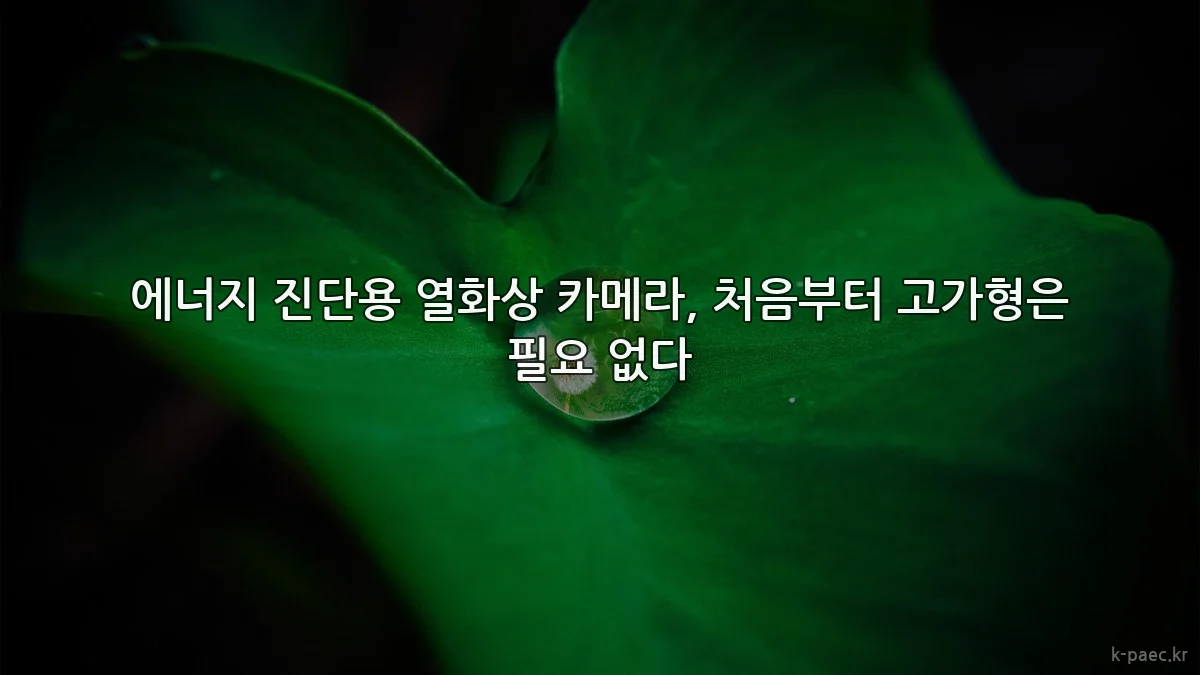 에너지 진단용 열화상 카메라, 처음부터 고가형은 필요 없다