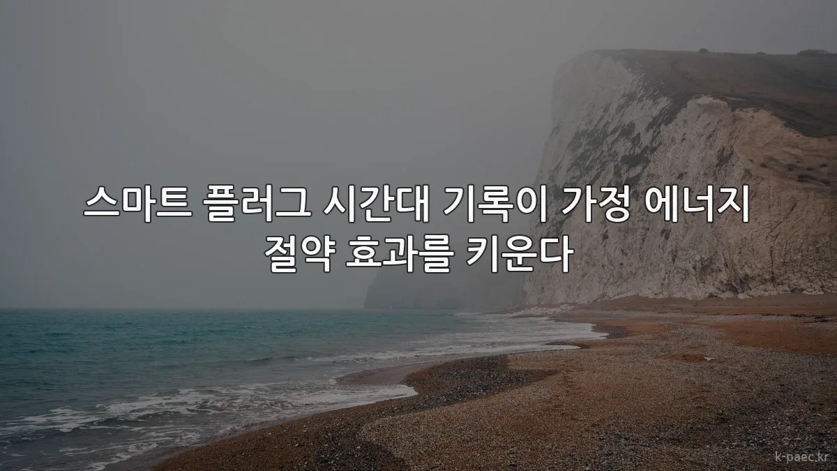 스마트 플러그 시간대 기록이 가정 에너지 절약 효과를 키운다