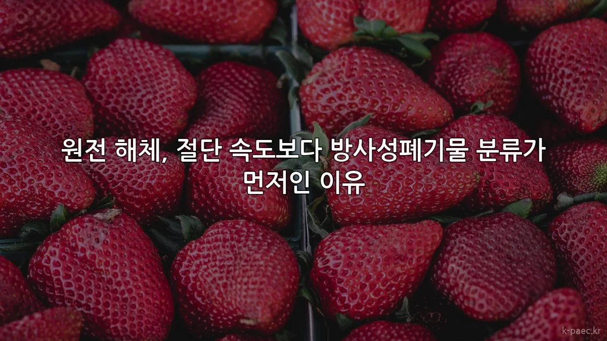 원전 해체, 절단 속도보다 방사성폐기물 분류가 먼저인 이유