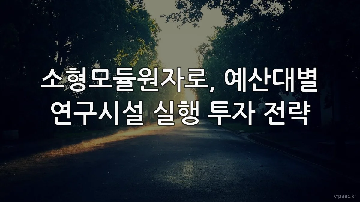 소형모듈원자로, 예산대별 연구시설 실행 투자 전략