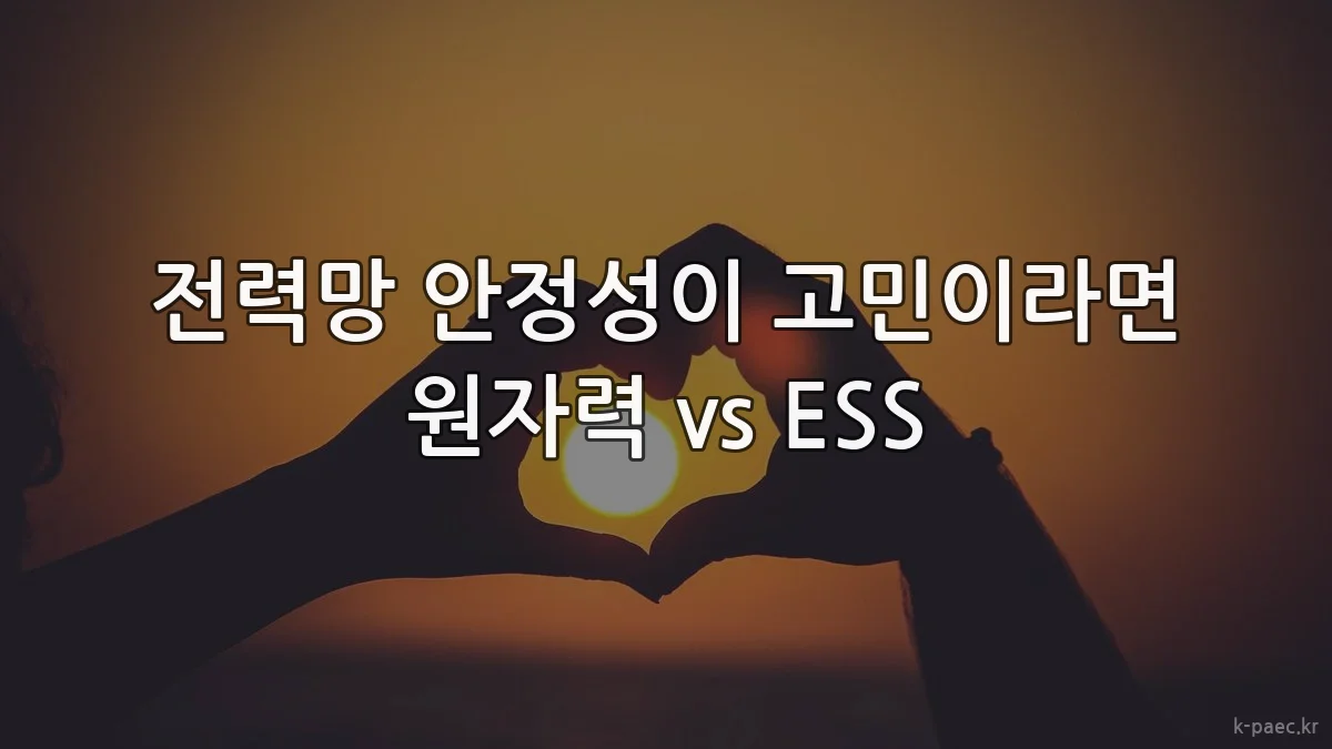 전력망 안정성이 고민이라면 원자력 vs ESS