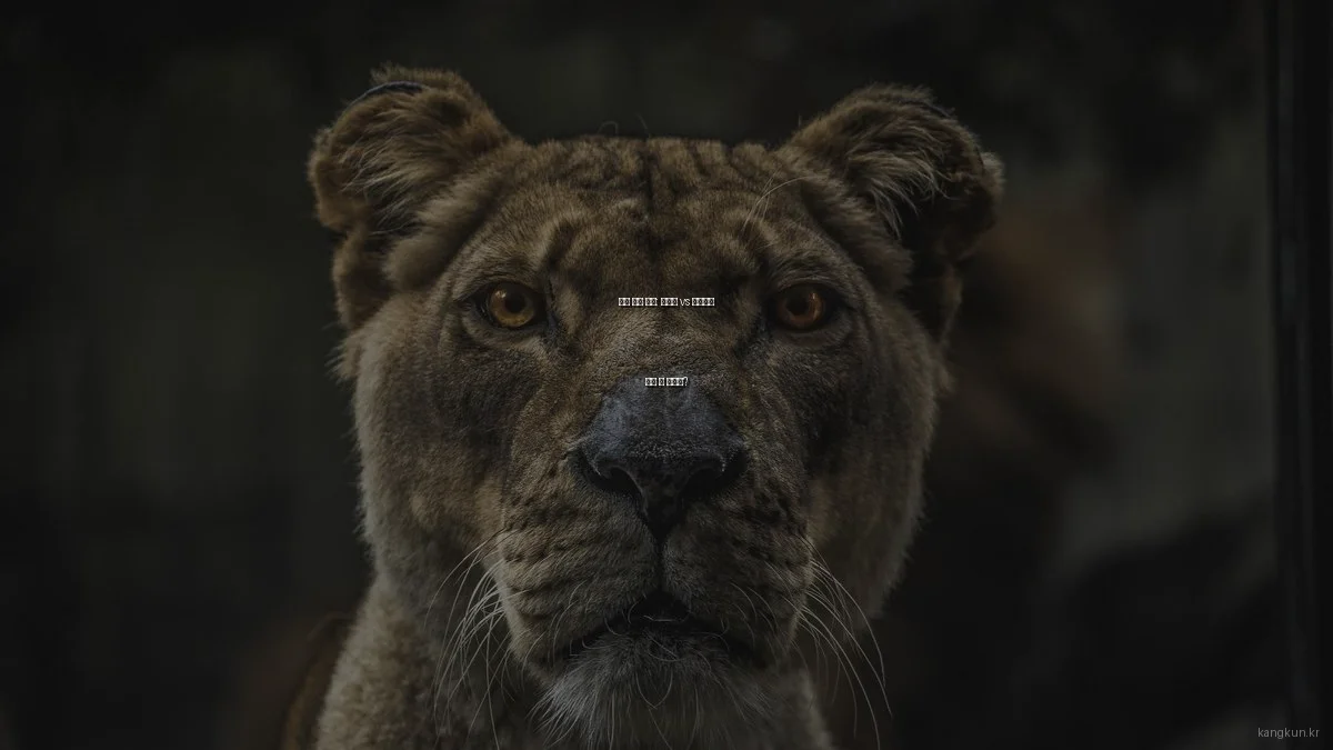 운동 방식 비교: 유산소 vs 근력운동 어떤 게 좋을까?