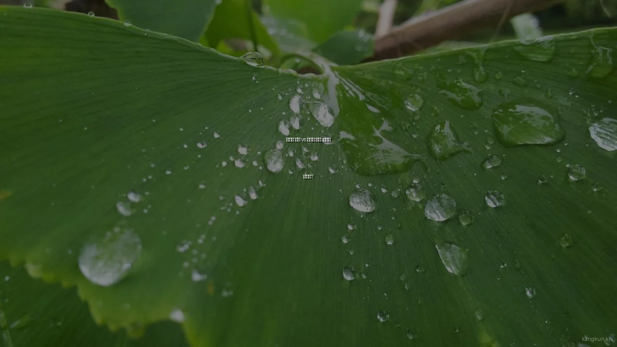 유산소 운동 vs 무산소 운동: 최적의 선택은?