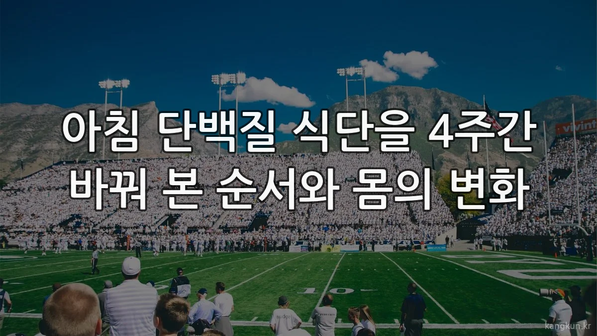 아침 단백질 식단을 4주간 바꿔 본 순서와 몸의 변화