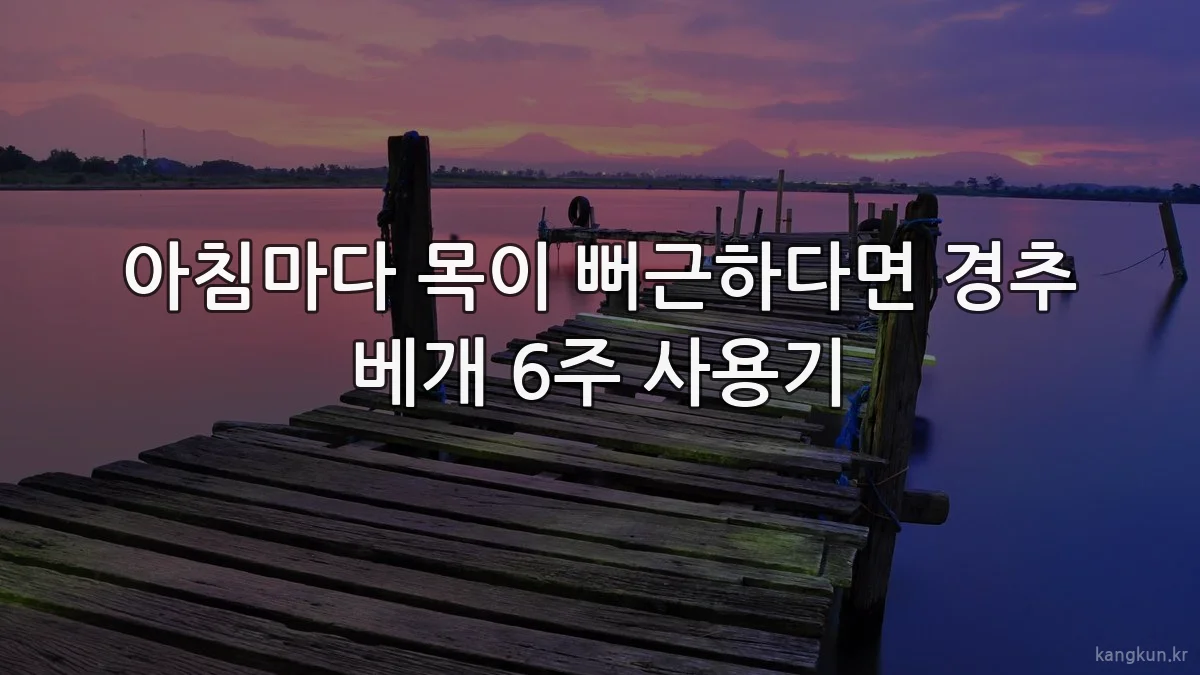 아침마다 목이 뻐근하다면 경추 베개 6주 사용기