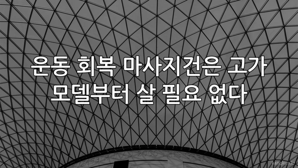 운동 회복 마사지건은 고가 모델부터 살 필요 없다