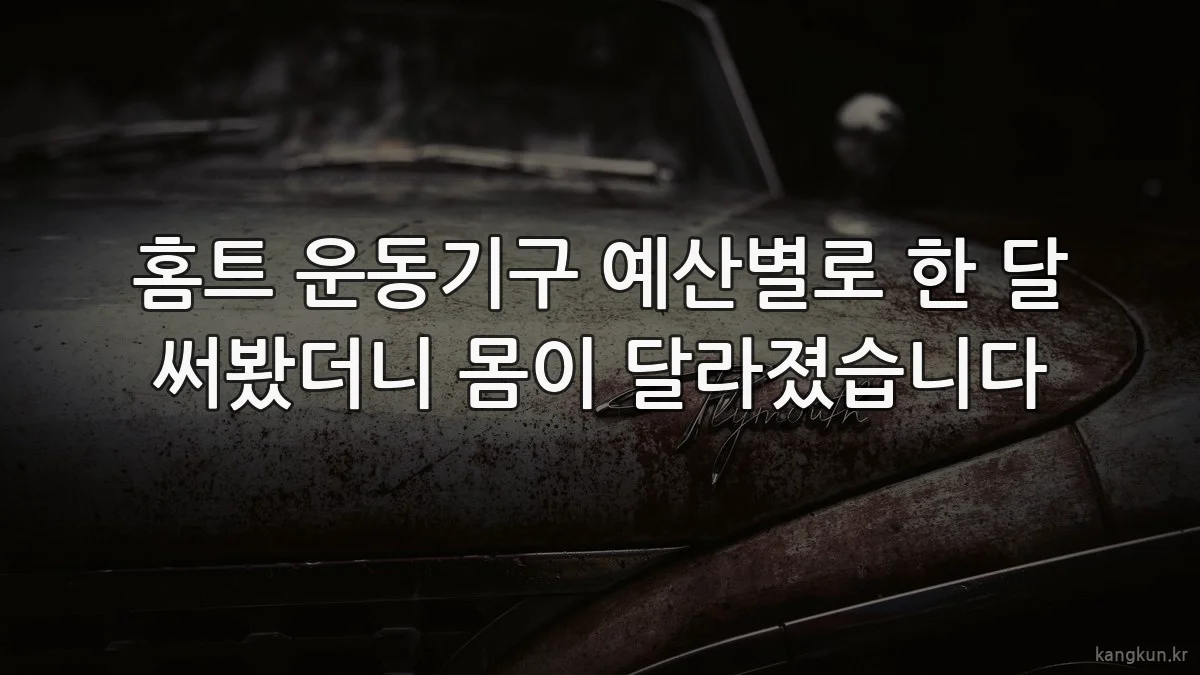 홈트 운동기구 예산별로 한 달 써봤더니 몸이 달라졌습니다