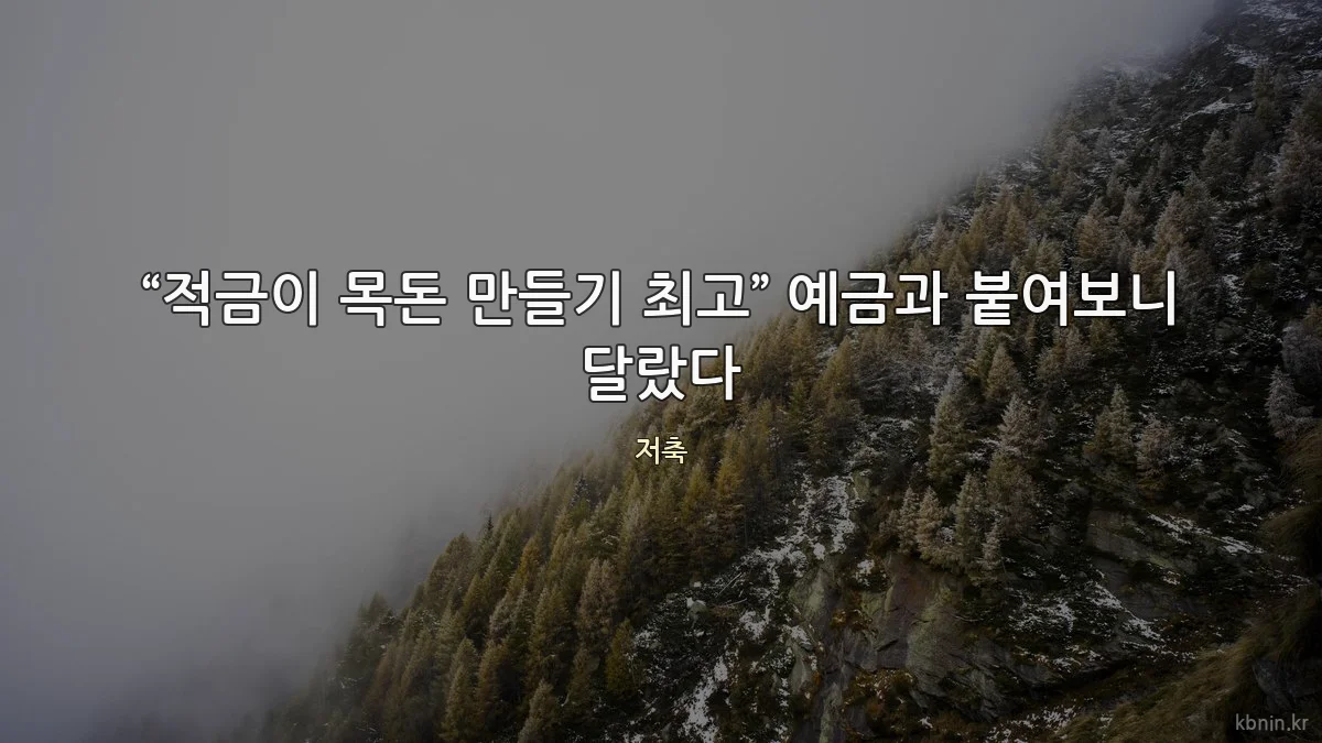 “적금이 목돈 만들기 최고” 예금과 붙여보니 달랐다
