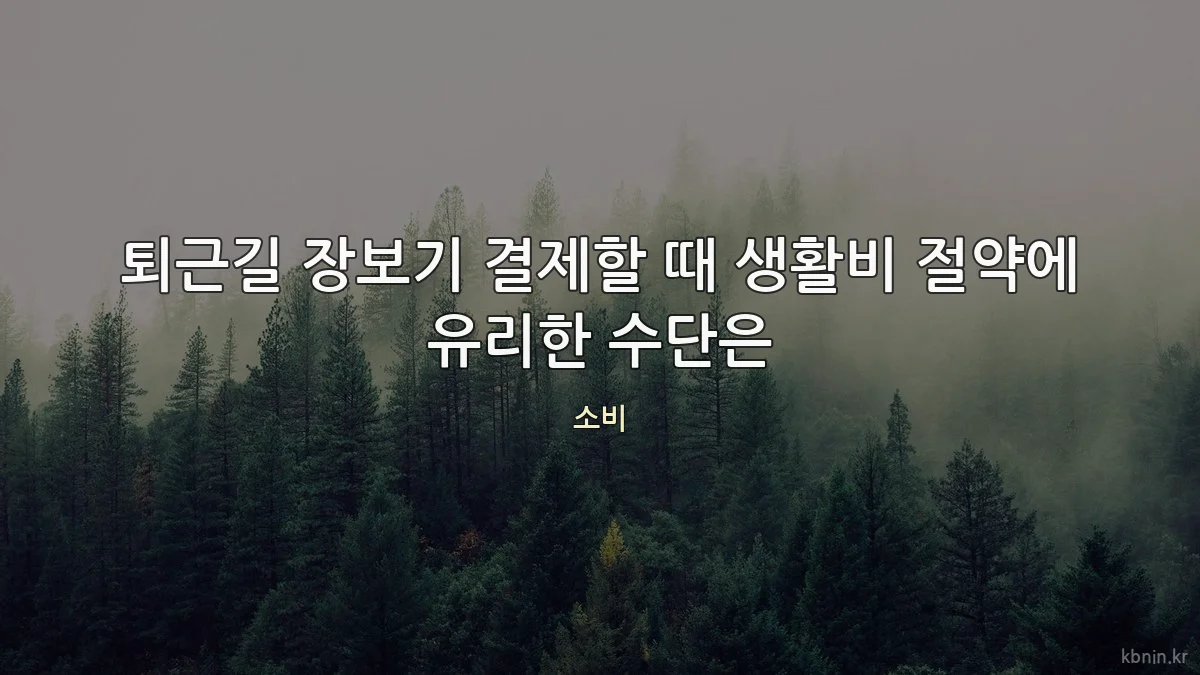 퇴근길 장보기 결제할 때 생활비 절약에 유리한 수단은