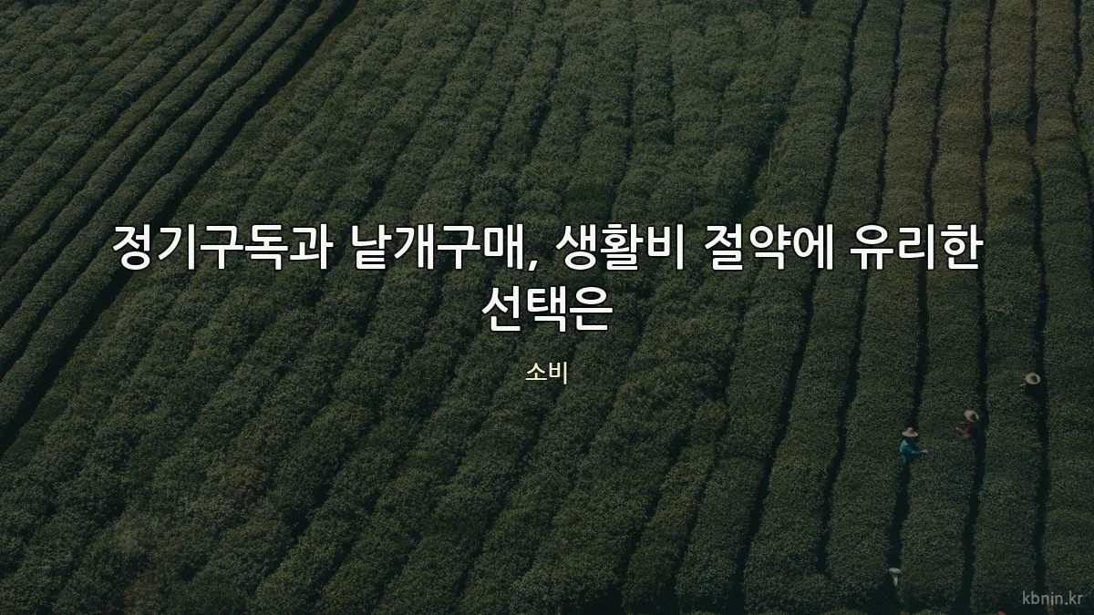 정기구독과 낱개구매, 생활비 절약에 유리한 선택은
