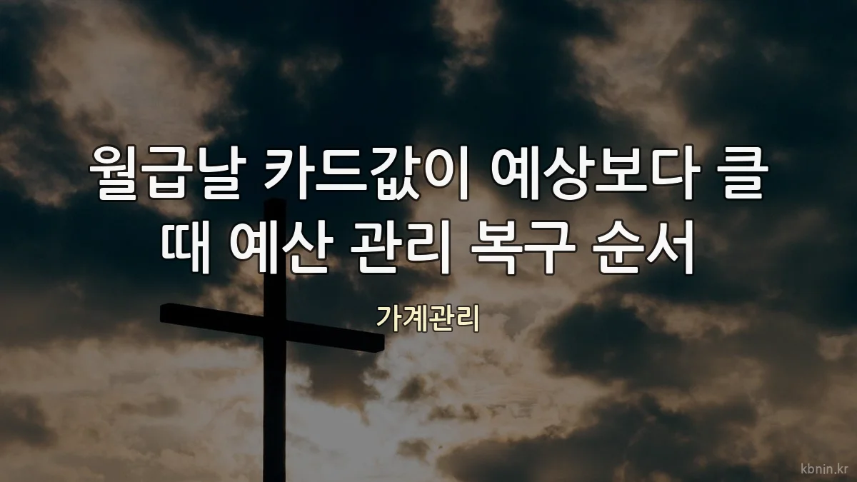 월급날 카드값이 예상보다 클 때 예산 관리 복구 순서