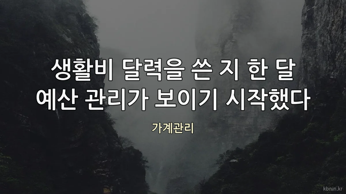 생활비 달력을 쓴 지 한 달 예산 관리가 보이기 시작했다