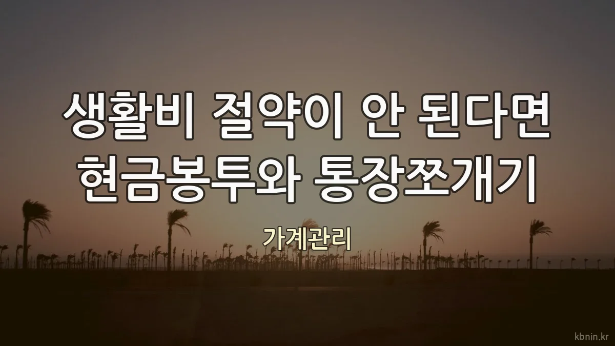 생활비 절약이 안 된다면 현금봉투와 통장쪼개기