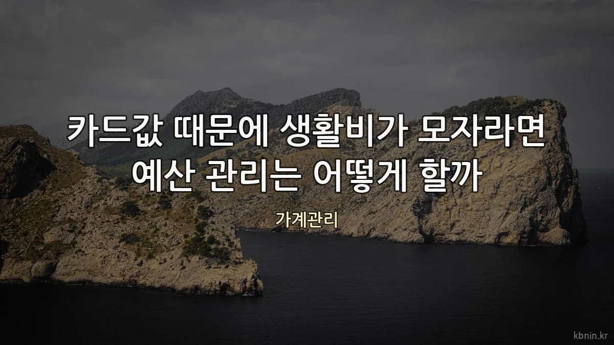 카드값 때문에 생활비가 모자라면 예산 관리는 어떻게 할까