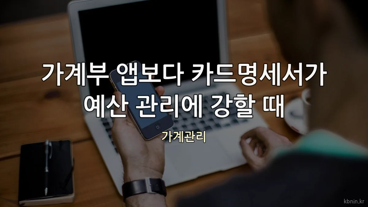 가계부 앱보다 카드명세서가 예산 관리에 강할 때