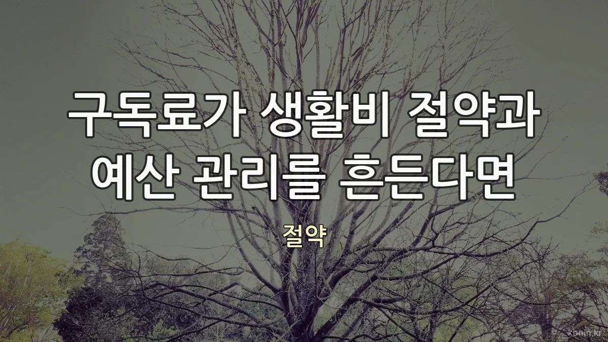 구독료가 생활비 절약과 예산 관리를 흔든다면