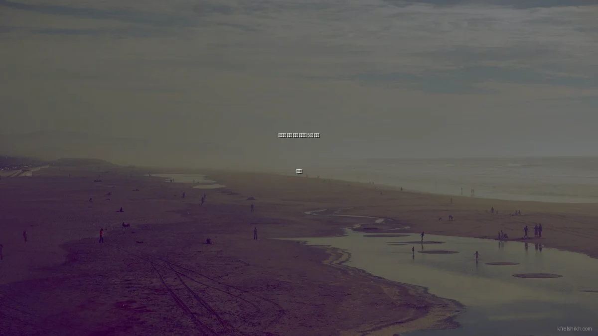 필요한 정보 제공 플랫폼 5개 비교 분석