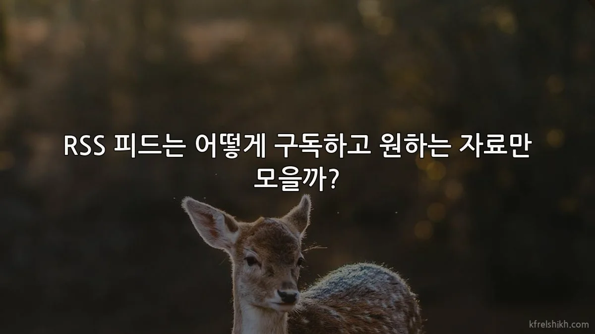 RSS 피드는 어떻게 구독하고 원하는 자료만 모을까?