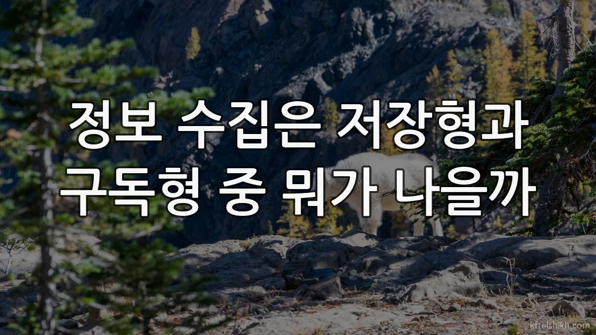 정보 수집은 저장형과 구독형 중 뭐가 나을까