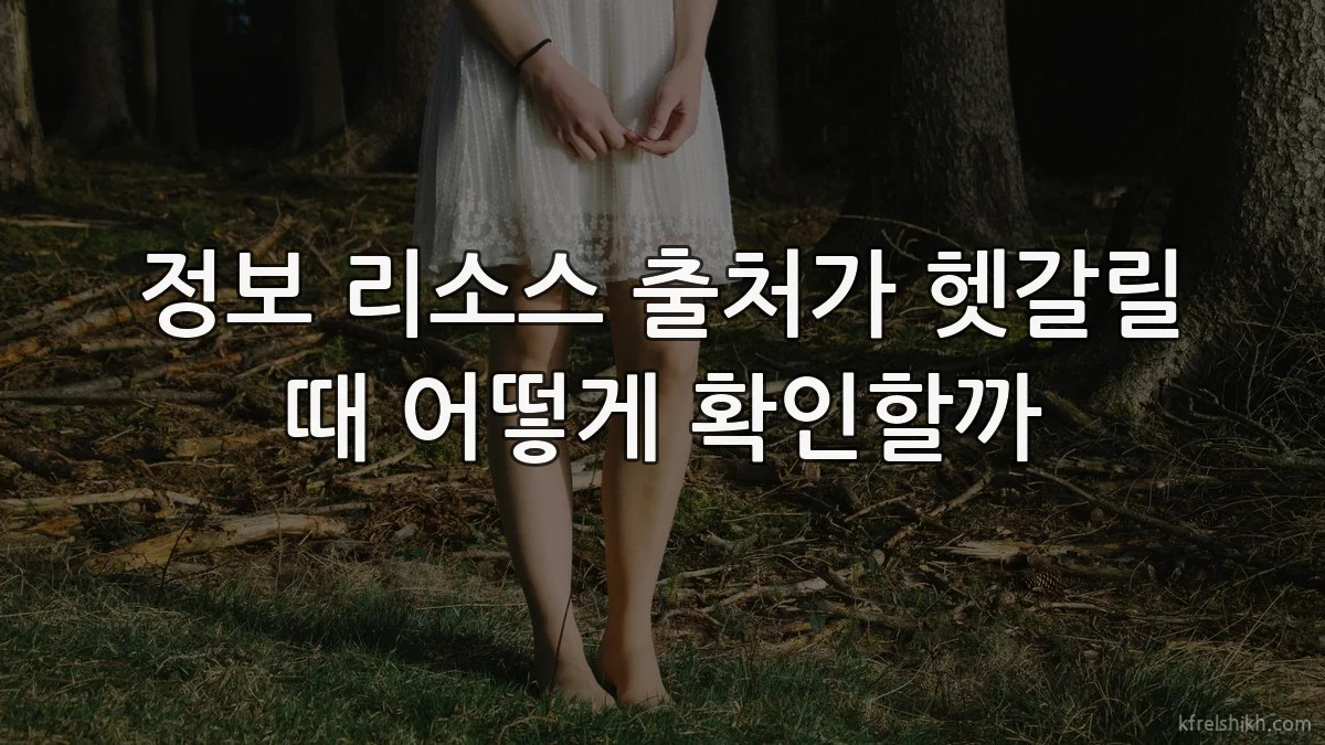 정보 리소스 출처가 헷갈릴 때 어떻게 확인할까